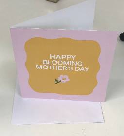 LUXE COLLECTION AURORA